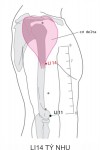 Ở mặt bên của cánh tay, ngay trước bờ cơ delta, cao hơn LI11 7 thốn B.