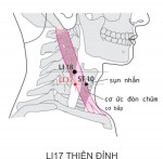LI17 THIÊN ĐỈNH Thanh Phế khí, Trị họng viêm, amidal viêm, lao hạch.