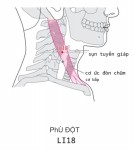 LI18 PHÙ ĐỘT