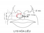 LI19 HÒA LIÊU