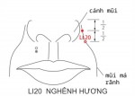 LI20 NGHÊNH HƯƠNG
