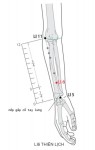 Ở mặt sau bên của cẳng tay, trên đường nối LI5 với LI11, 3 thốn B phía trên nếp gấp mu bàn tay
