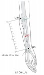 Ở mặt sau bên của cẳng tay, trên đường nối LI5 với LI11, 5 thốn B phía trên nếp gấp mu bàn tay.