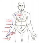 LU THỦ THÁI ÂM PHẾ KINH