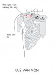 Bờ dưới xương đòn gánh, nơi chỗ lõm ngang cơ ngực to, giữa cơ Delta, nơi có gian sườn 1, cách đường ngực 06 thốn, trên huyệt Trung Phủ 1,6 thốn.