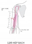 LU4 HIỆP BẠCH