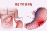 tải xuống   2025 11 22T121712 702