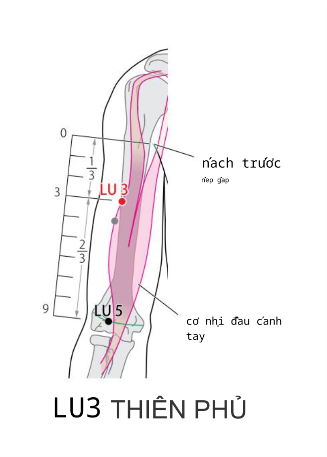 LU3 THIÊN PHỦ