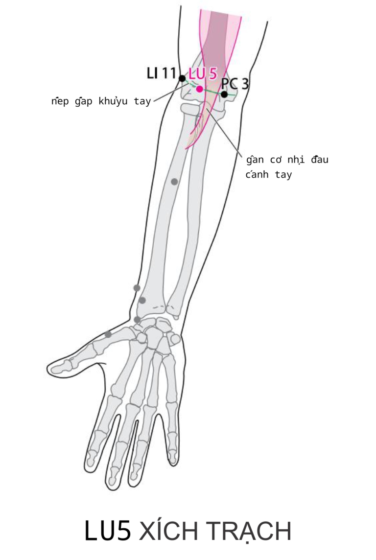 LU5 XÍCH TRẠCH