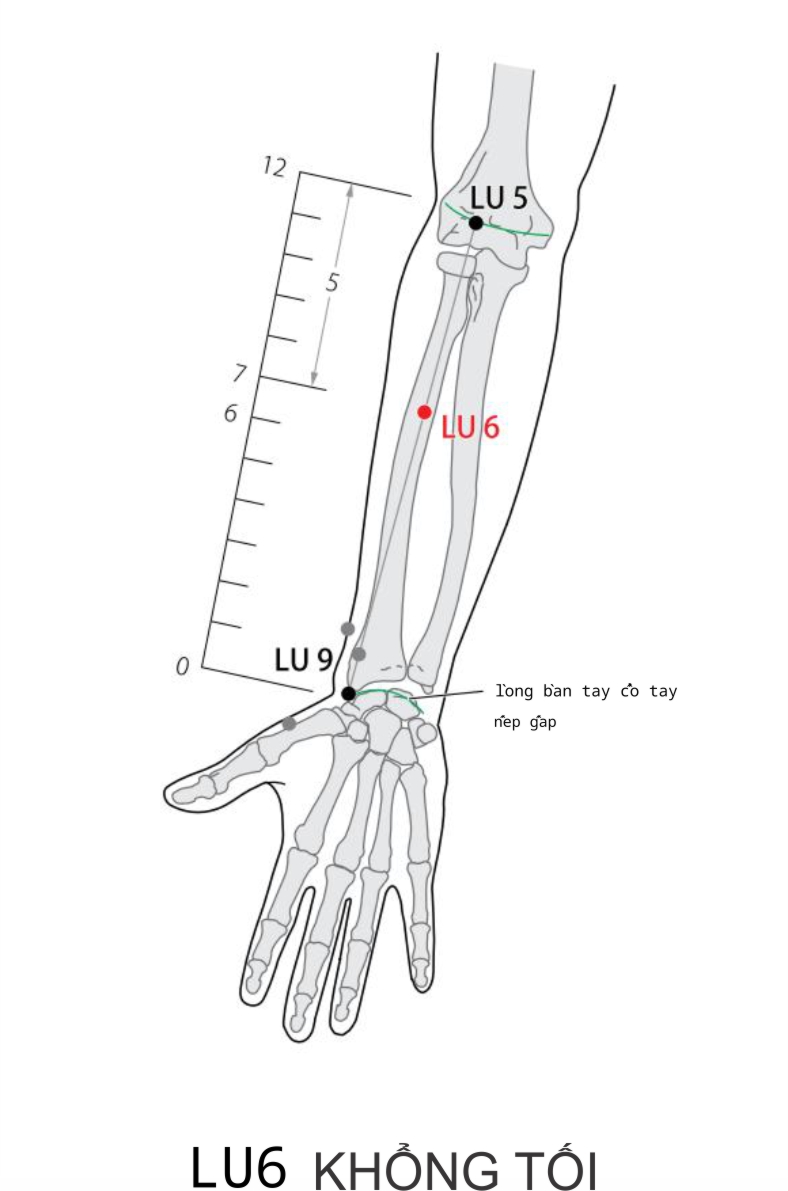 LU6 KHỔNG TỐI